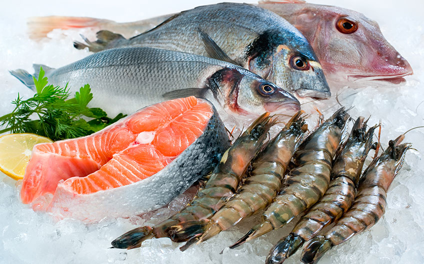 Seafood Section  | Nutrients You Need to Speed Up Injury Recovery